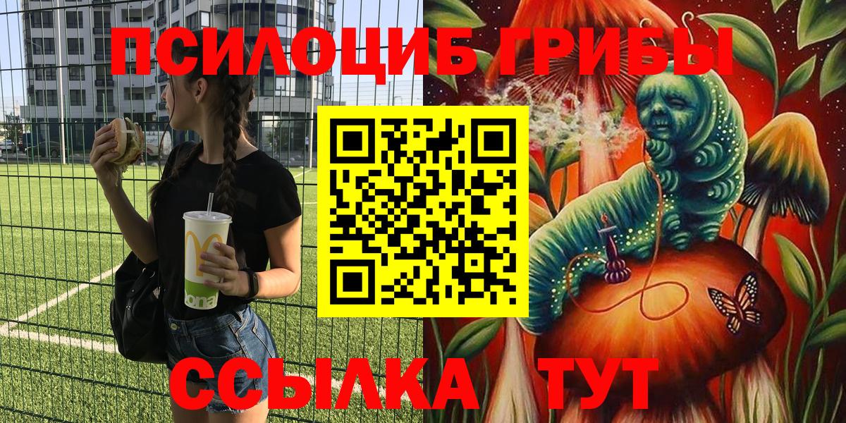Галлюциногенные грибы Psilocybine cubensis Дзержинск
